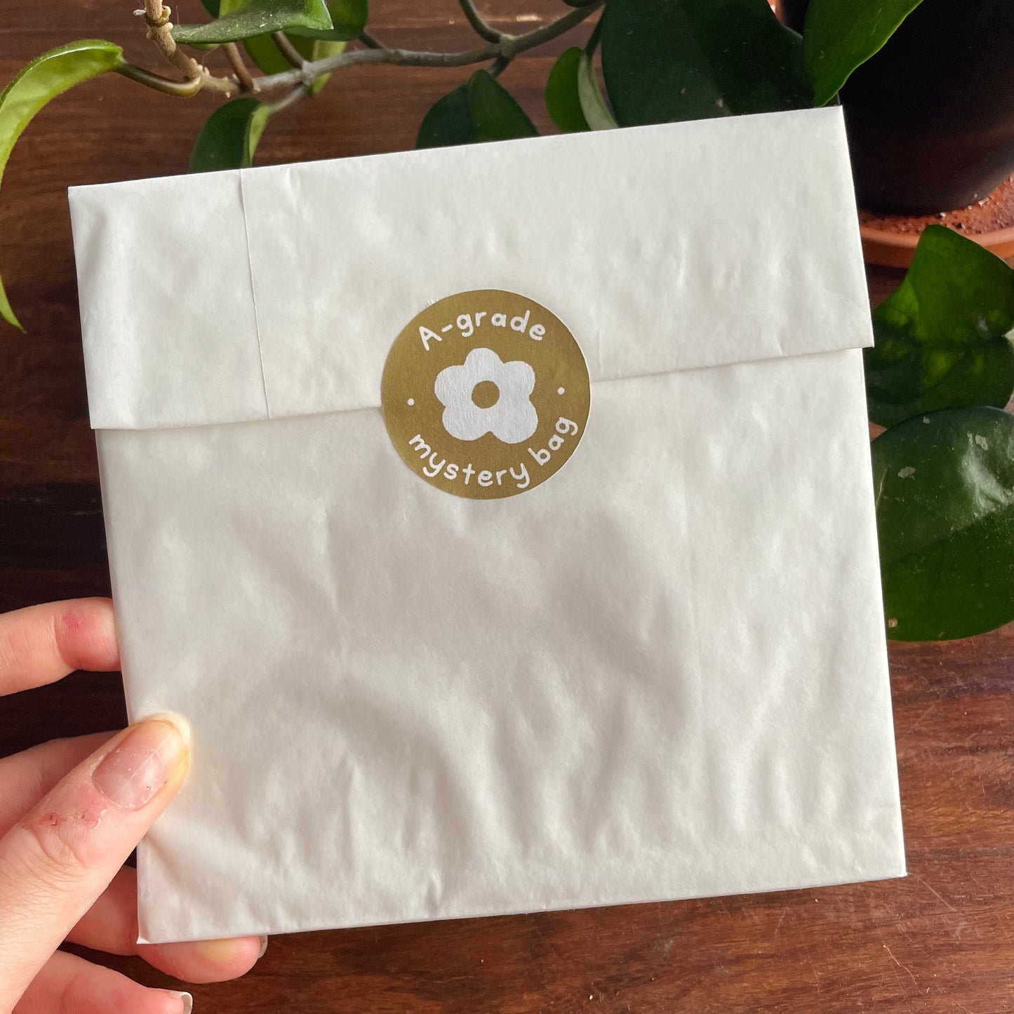 Mystery Bag