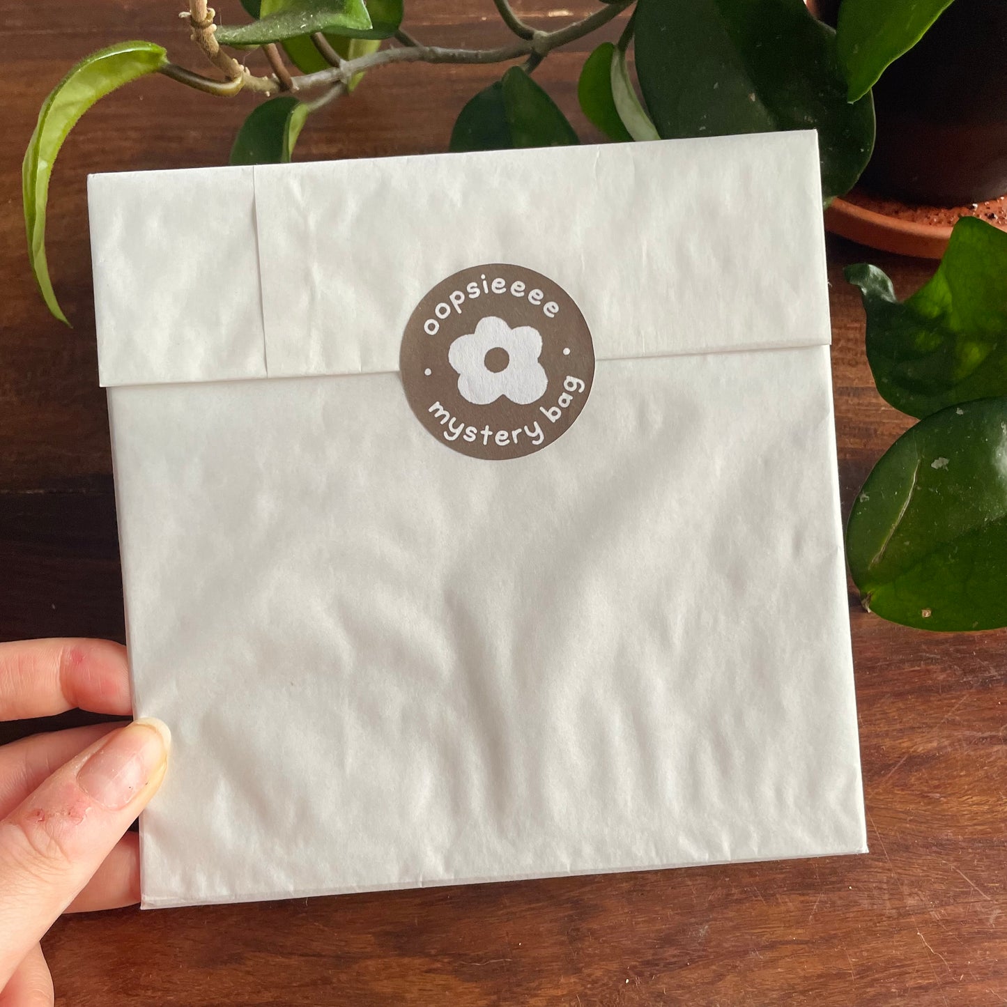Mystery Bag
